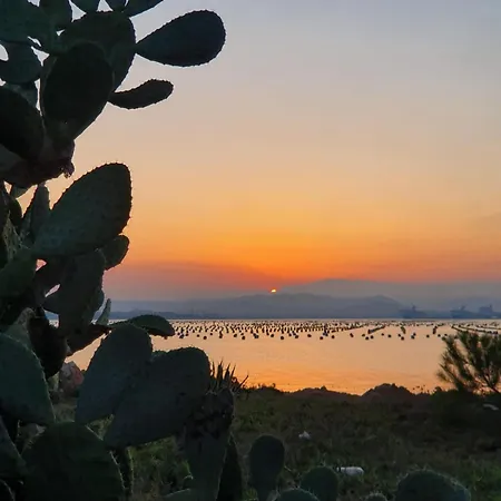 Semesterbostad Al Mare Di Cala Saccaia Pittulongu