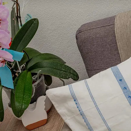 Al Mare Di Cala Saccaia * Pittulongu