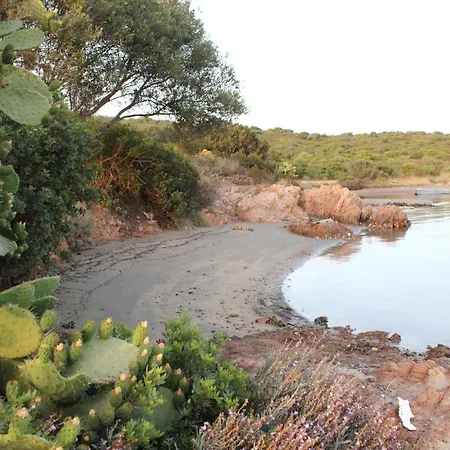 Al Mare Di Cala Saccaia Holiday home *