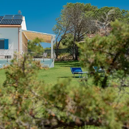 Al Mare Di Cala Saccaia *